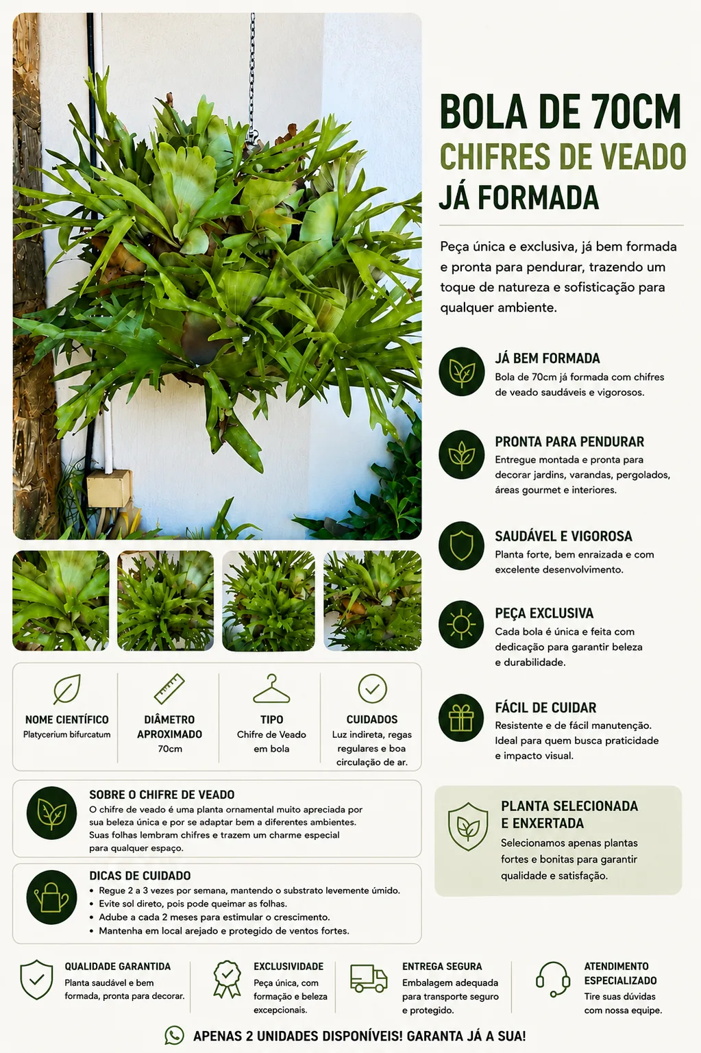 Bola de Chifre de Veado 70cm