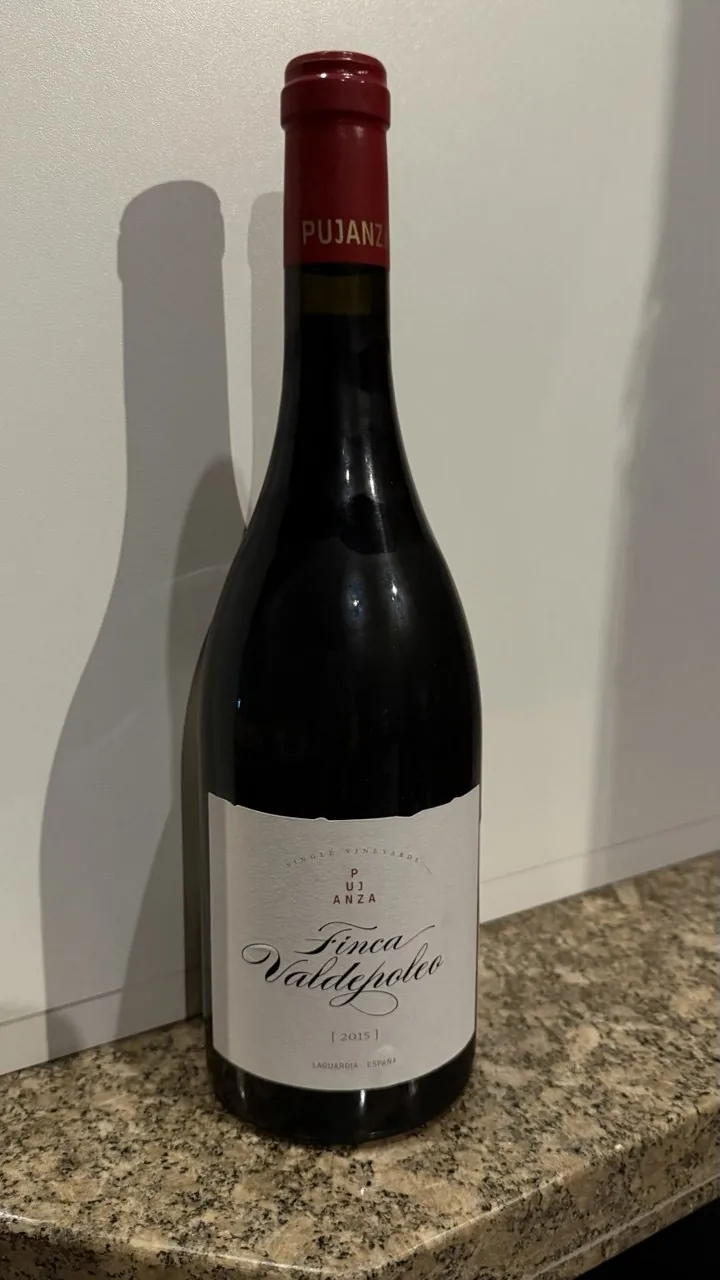 Pujanza Finca Valdepuso Single Vineyard 2015